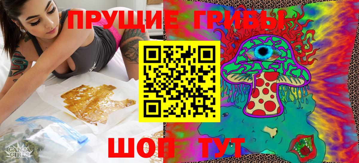 Нарткала  Псилоцибиновые грибы мухоморы  Вход с VPN  Галлюциногенные грибы Psilocybe 