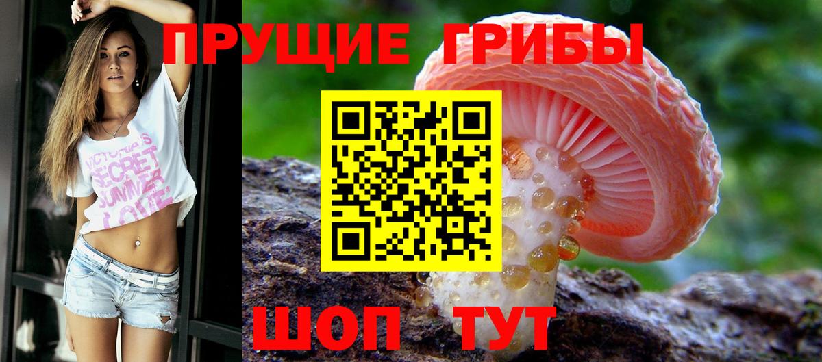 Псилоцибиновые грибы мухоморы Нарткала